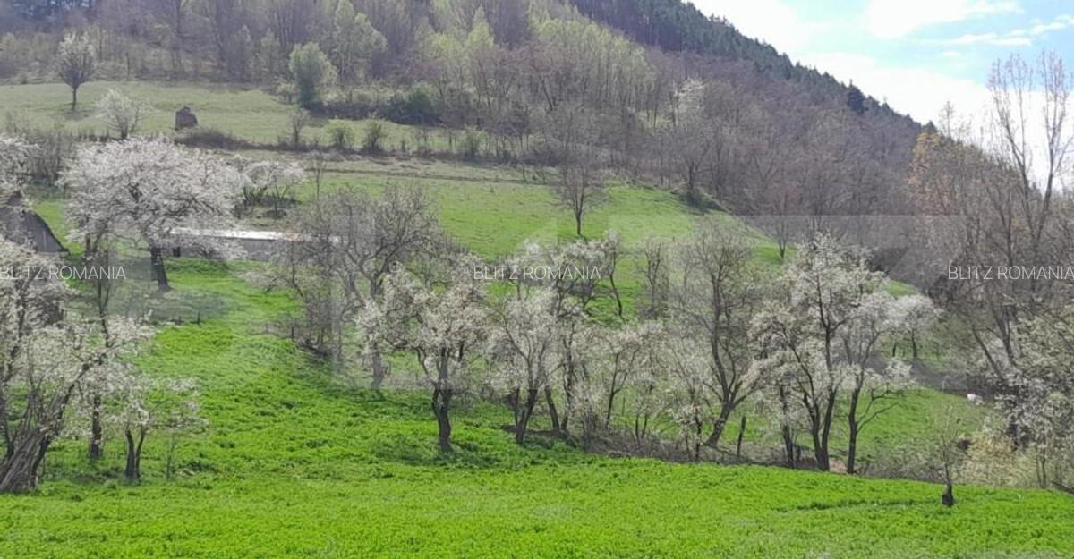 Casa individuala, 5500 mp teren, zona Vintu de Jos, Inuri - 8