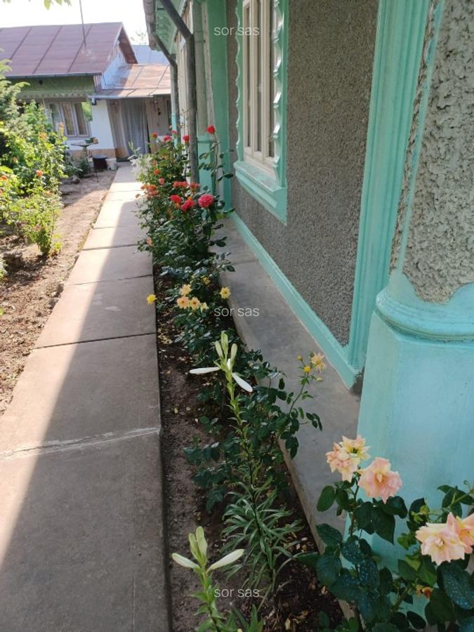 Vând casă comuna Cudalbi,județul Galați - 3