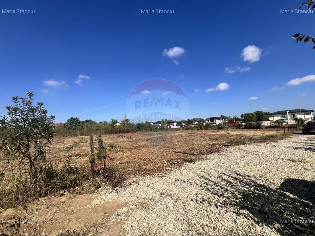 Teren ideal pentru casa de vis in Mogosoaia - 849,3 mp, cu utilitati i - 13
