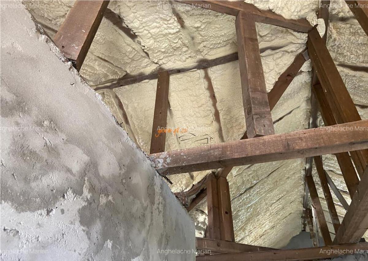 Casa de in sat Botarlau , parter si mansarda cu suprafata - 8