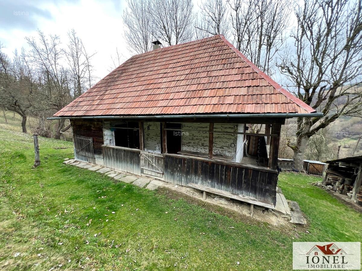 Casa de vanzare in Muntii Apuseni cu 17.596 mp teren - 3