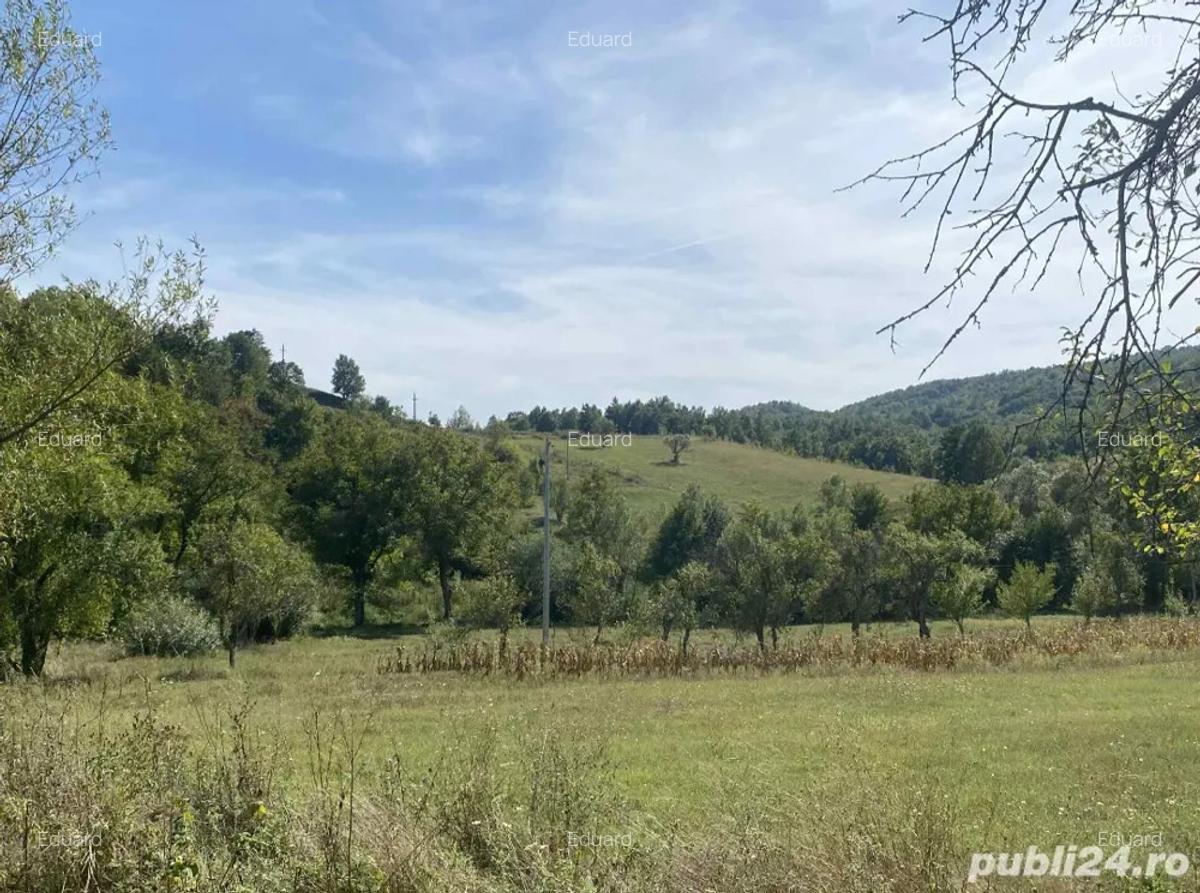 Casa de vanzare+teren - 4