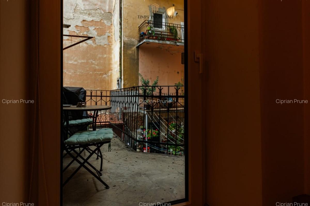 Apartament cu terasa si boxa, in Palatul Adolf Hanecker | Mal Bega - 5