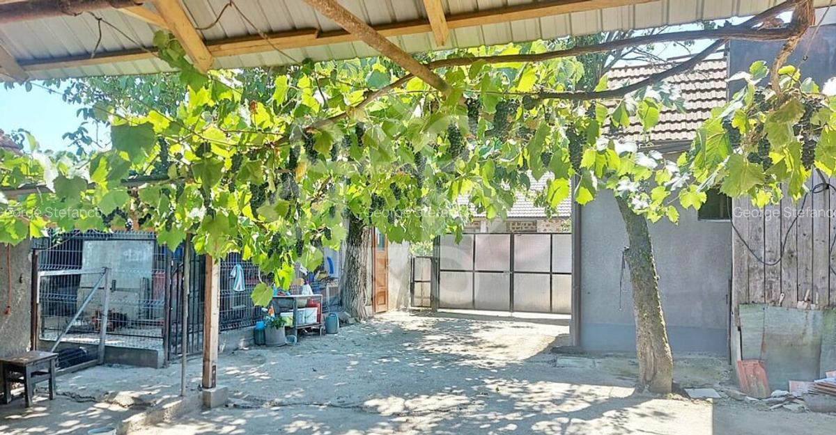 Casa cu teren in Tinca - 3