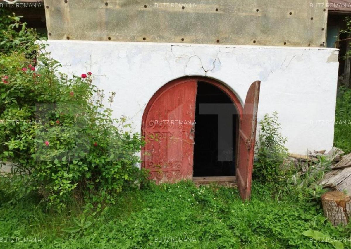 Casa individuala cu crama, teren 6700mp, Plopu - 5