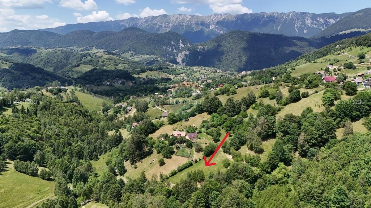 Comision 0% | Teren intravilan 2068 mp | Magura | Piatra Craiului - 7