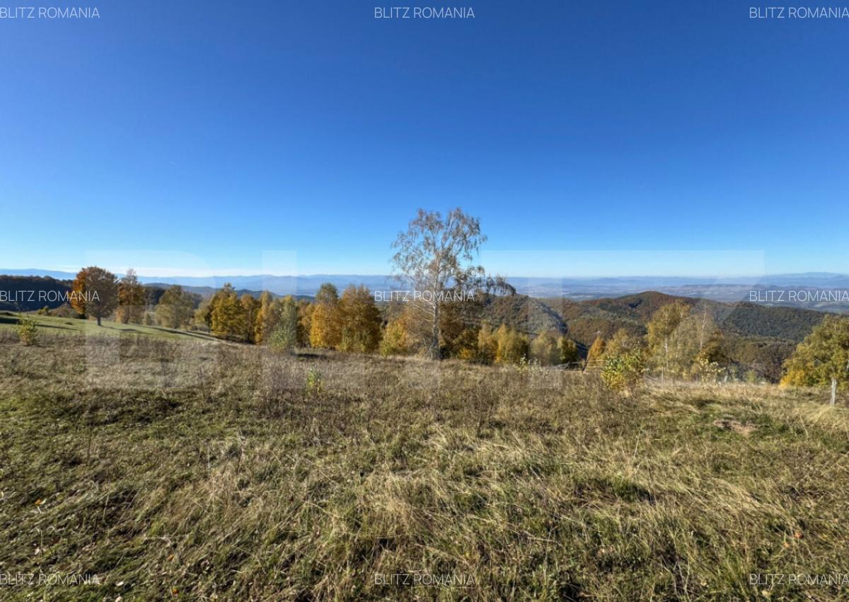 Teren extravilan 6.360 mp in Tarsa - 1