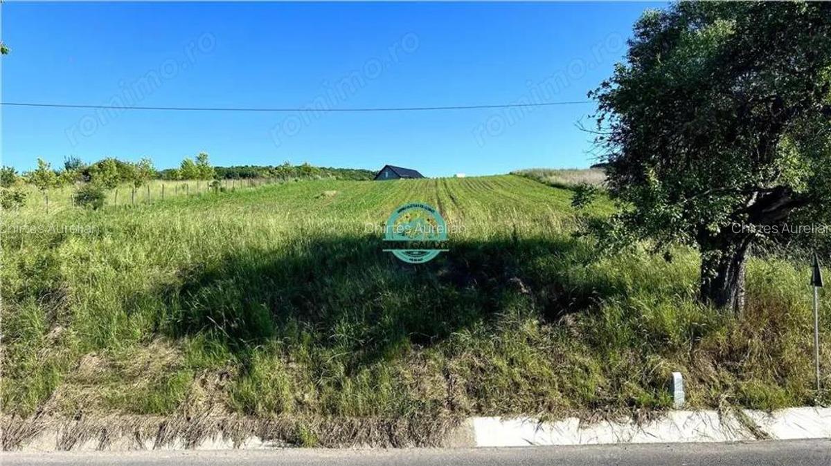 Vand teren intravilan in Sanisor cu suprafata de 4946 mp - 3