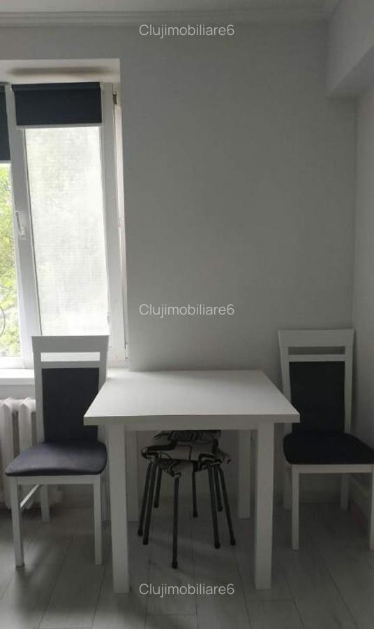 Inchiriere apartament cu 1 camera parcul Armatura - 7