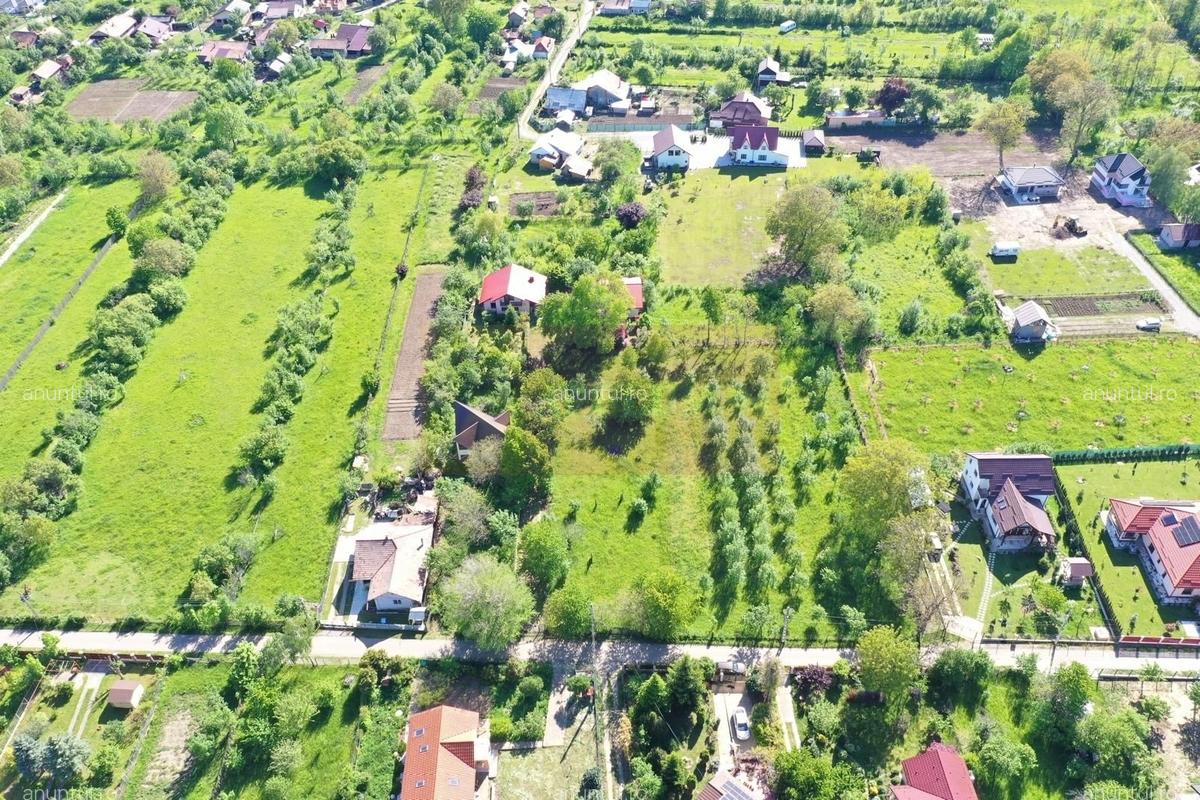 Teren intravilan de vanzare in Brebu (zona foarte linistita) - 4