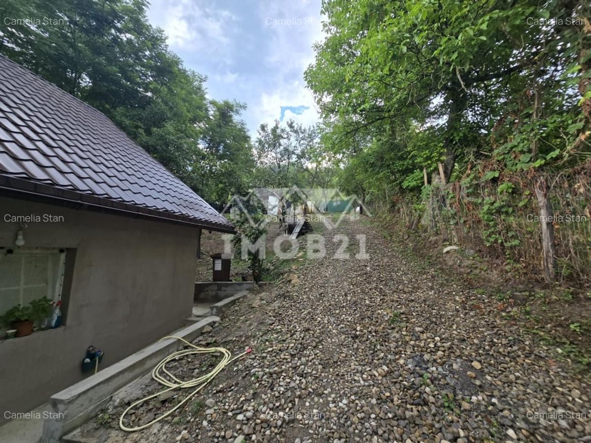 Vanzare Casa cu 3 camere si teren de 4000 mp in Soimari-Prahova - 10