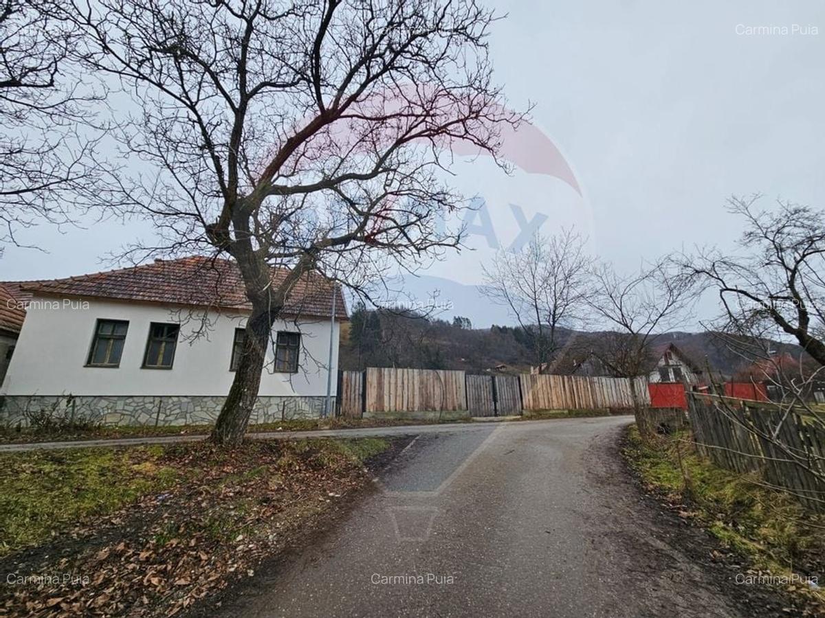 CASA 3 CAMERE SINCA NOUA / 5650 mp teren - 1