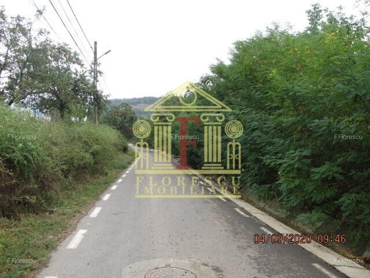 Teren intravilan  Tomesti! - 3