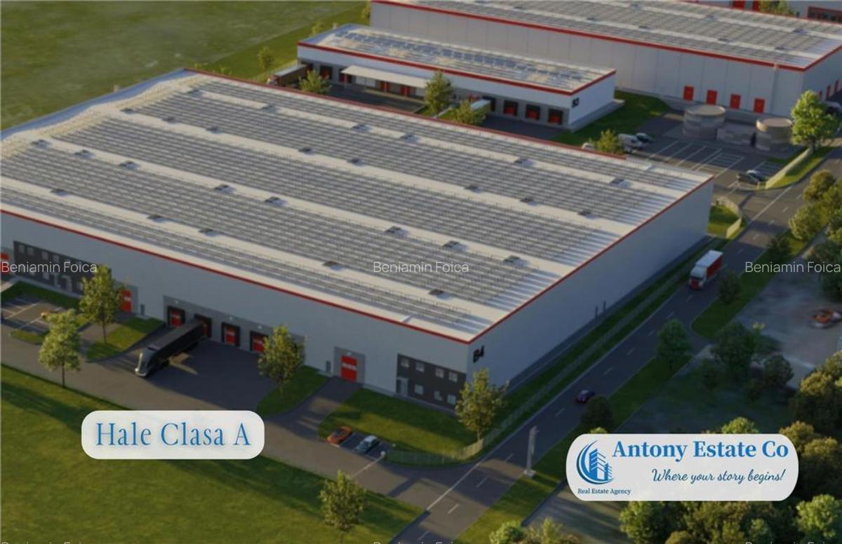 Depozit, Hala Industriala de inchiriat, Parc UTA 2, Arad - 3