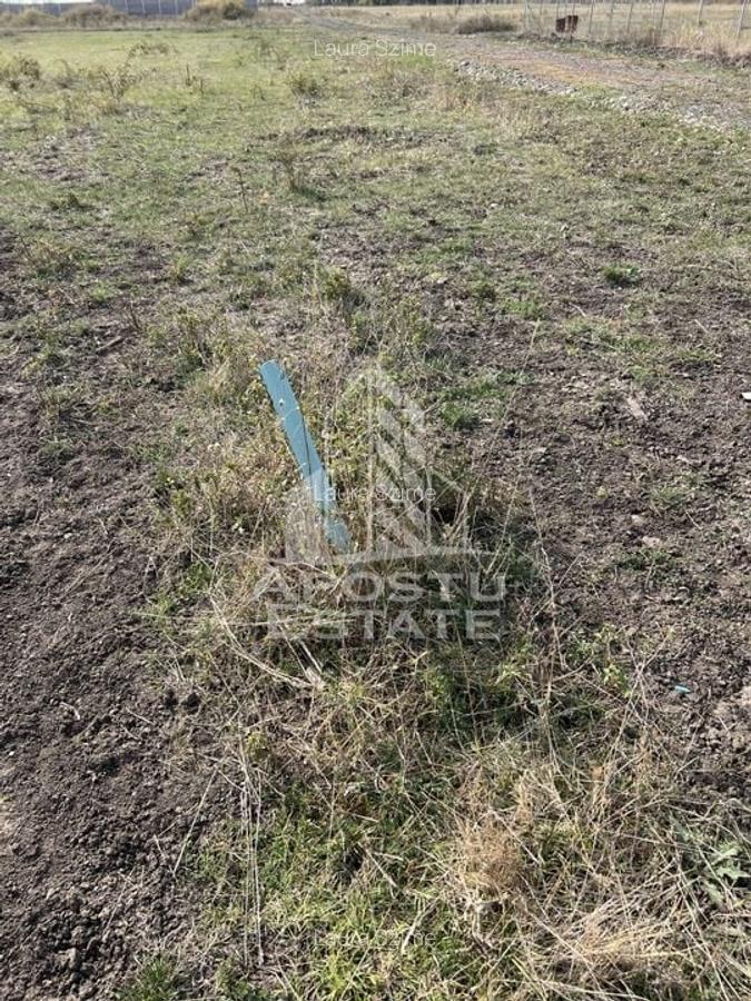 DE VANZARE - Teren 758 mp, zona Metro 2 - cu potential excelent de dez - 2