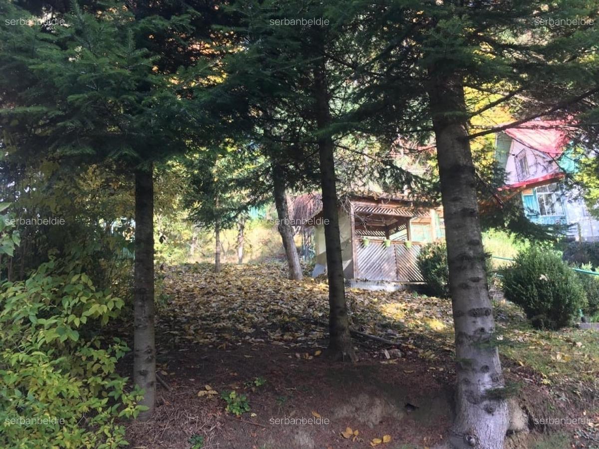 Casa si teren 1000 mp, Sinaia, zona excelenta, pe Furnica, langa Peles - 5