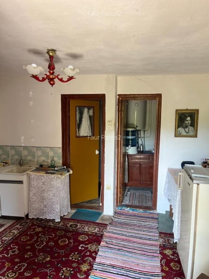 CASUTA DE LA TARA, TEREN 5960 MP Comuna Uda, jud. Arges - 2