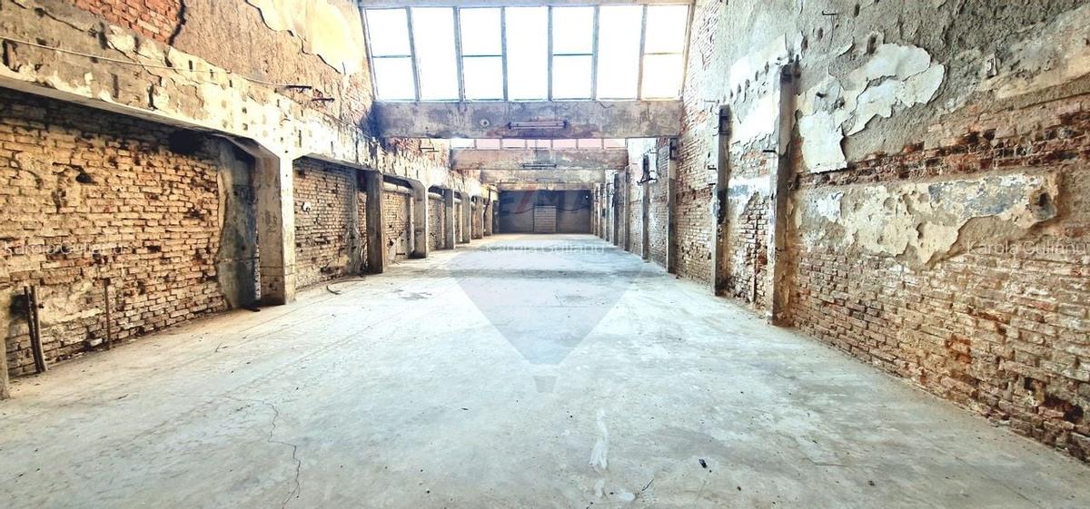Oportunitate de inchiriere hala industriala in Prejmer, langa Brasov - 10