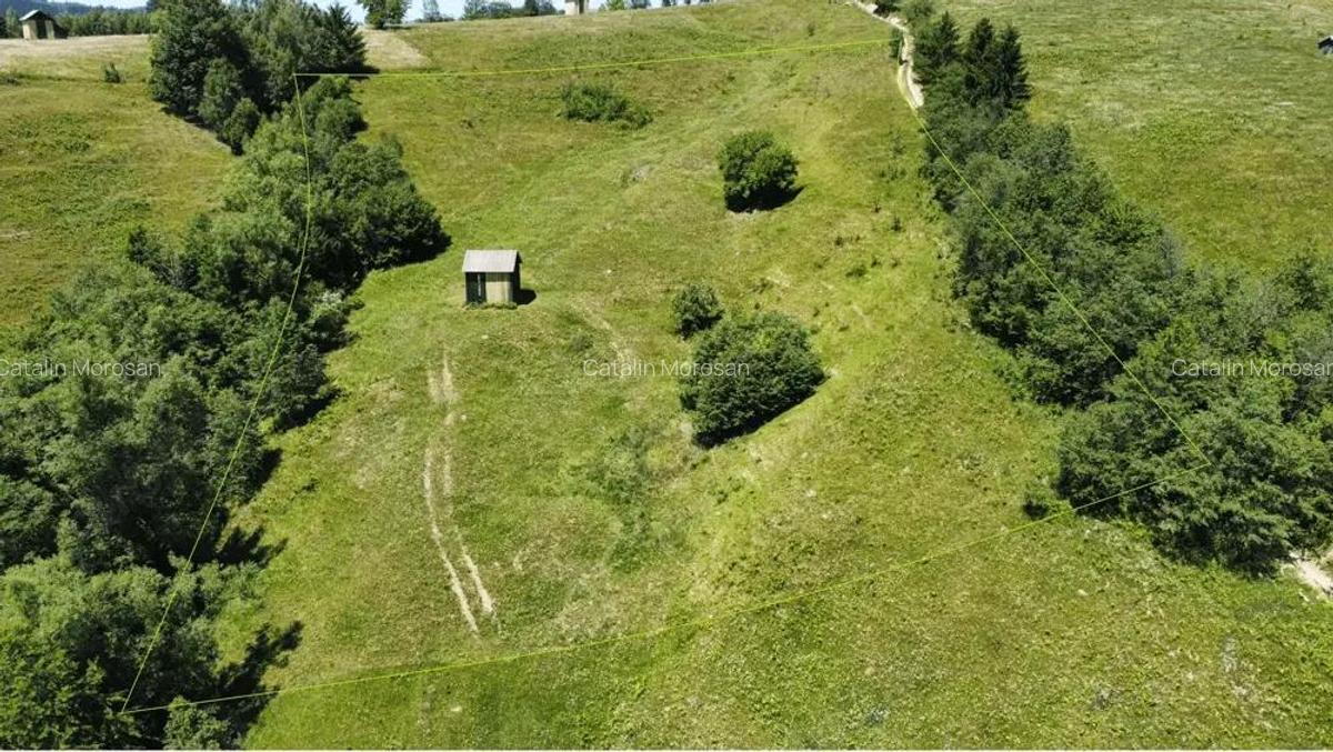 Teren in Bucovina 12399 mp Salatruc - Vama - 3