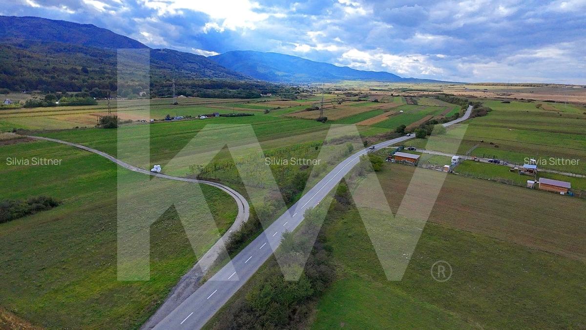 Teren extravilan  3.942 mp de vanzare – Talmaciu, jud. Sibiu - 6