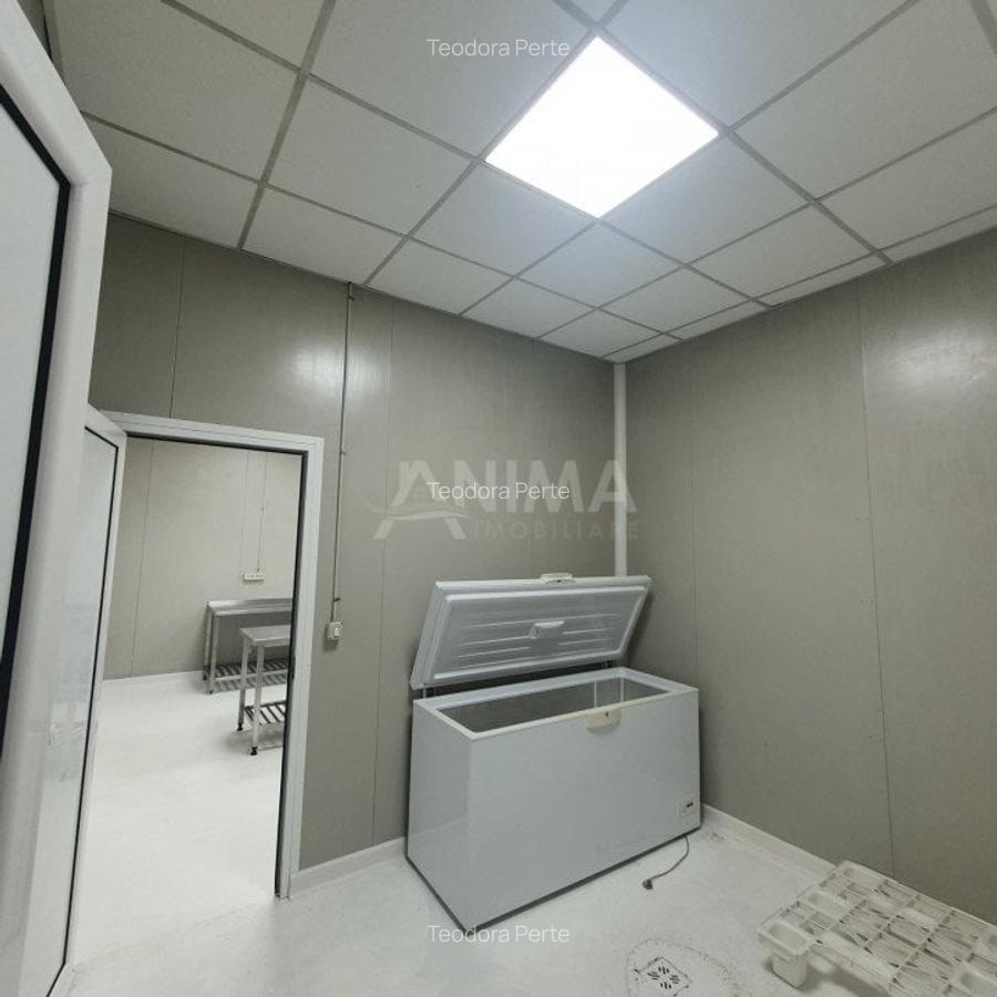 Spațiu industrial, 220 mp în Mărăști - 3