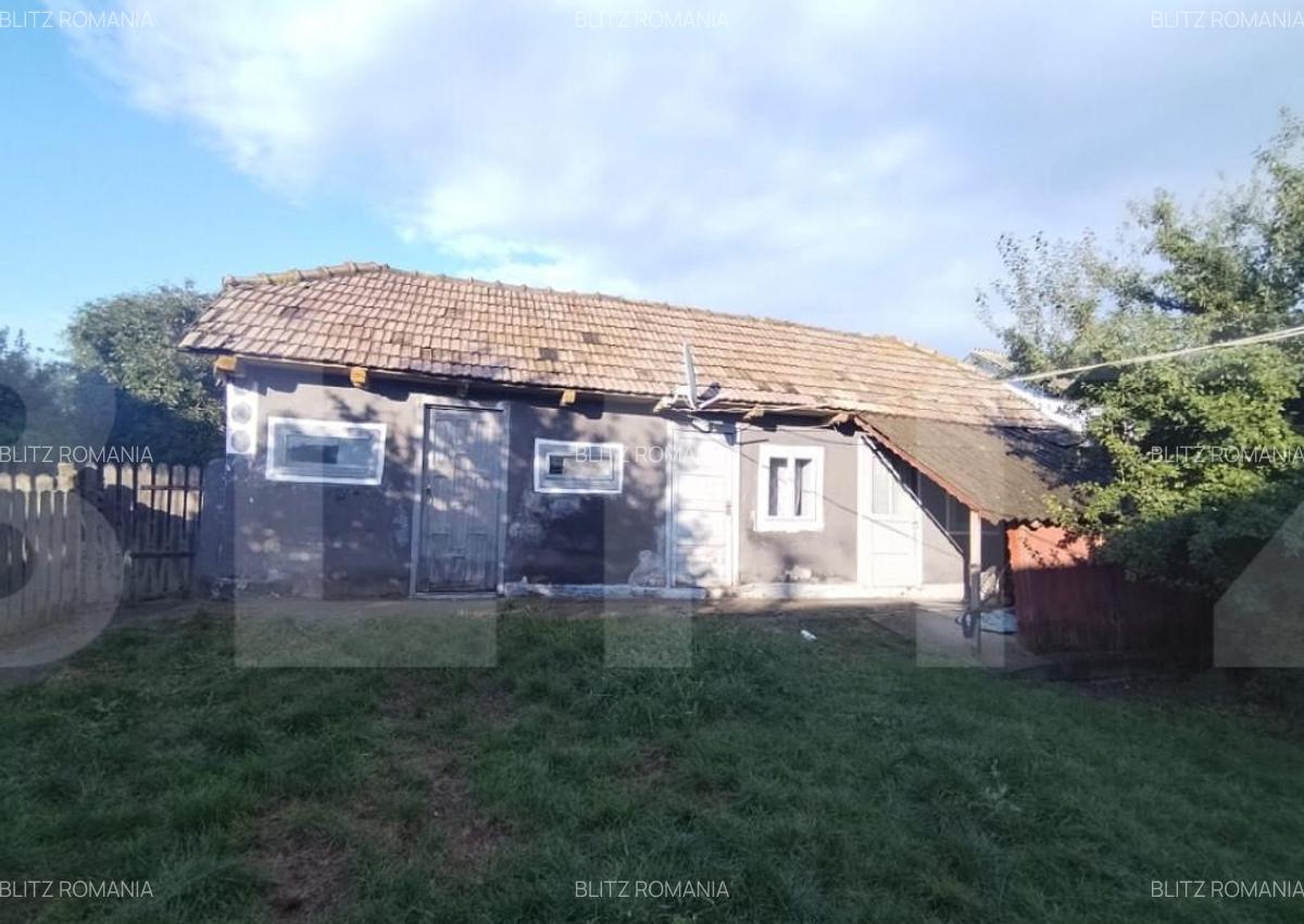 Casa tradi?ionala cu teren generos Brae?ti, Boto?a - 2