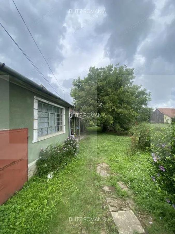 Casa tradi?ionala cu teren generos Belin - 12