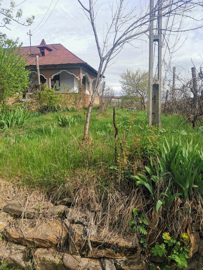 Vand casa batraneasca - 2 Vand casa batraneasca - 2