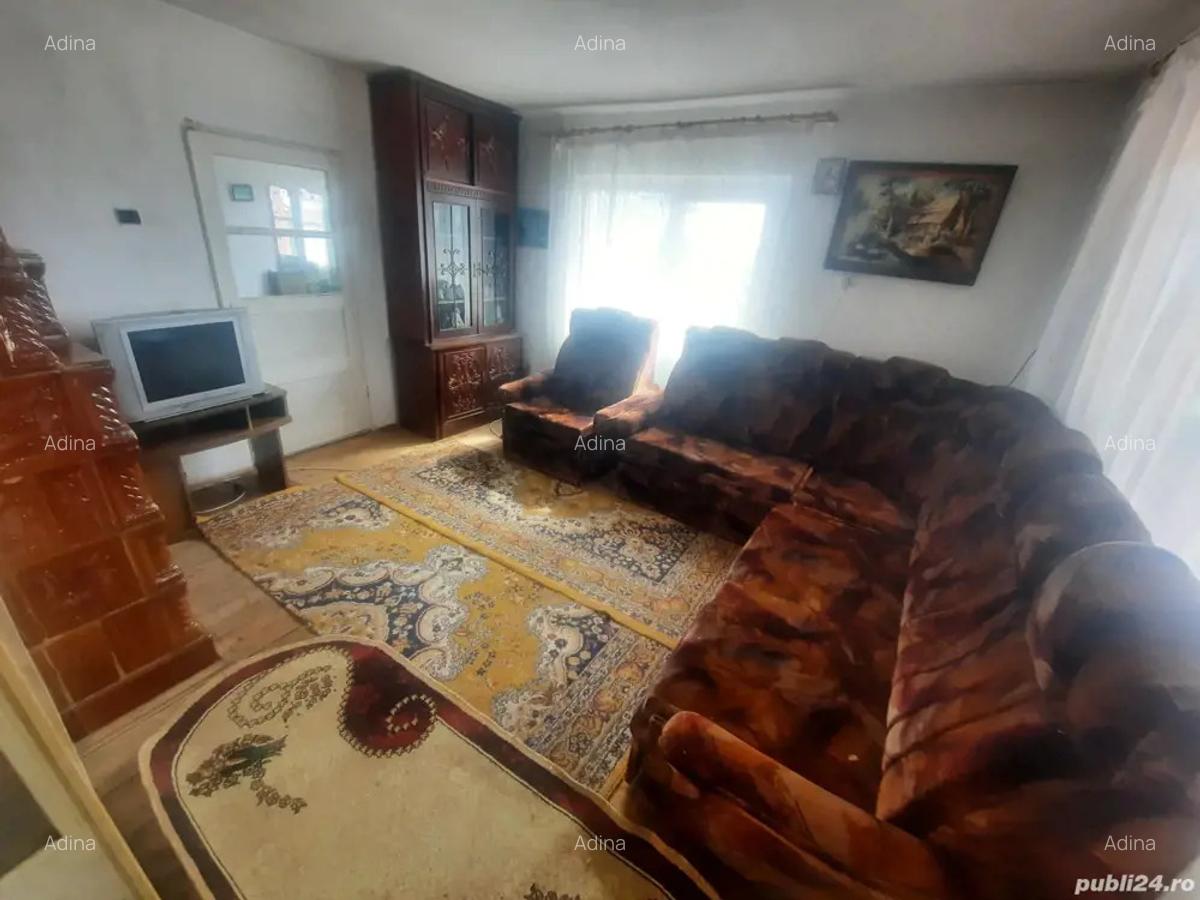 Proprietar vand casa Hemeius - 4