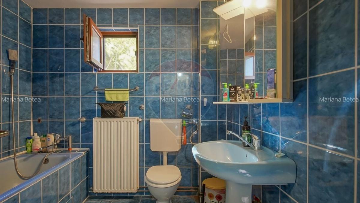 CASA 3 CAMERE CU 86 MP, BECI, POD SI CURTE | ZONA SCHEI - 24