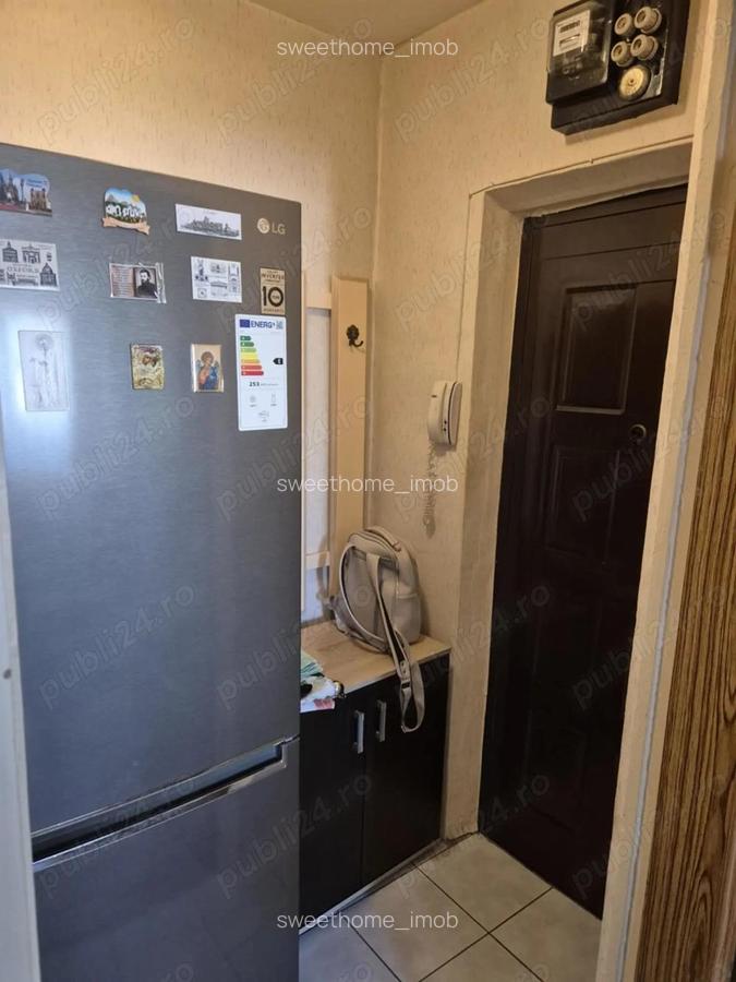 Teiul Doamnei vanzare garsoniera bloc mixt Aleea Brasoveni - 7