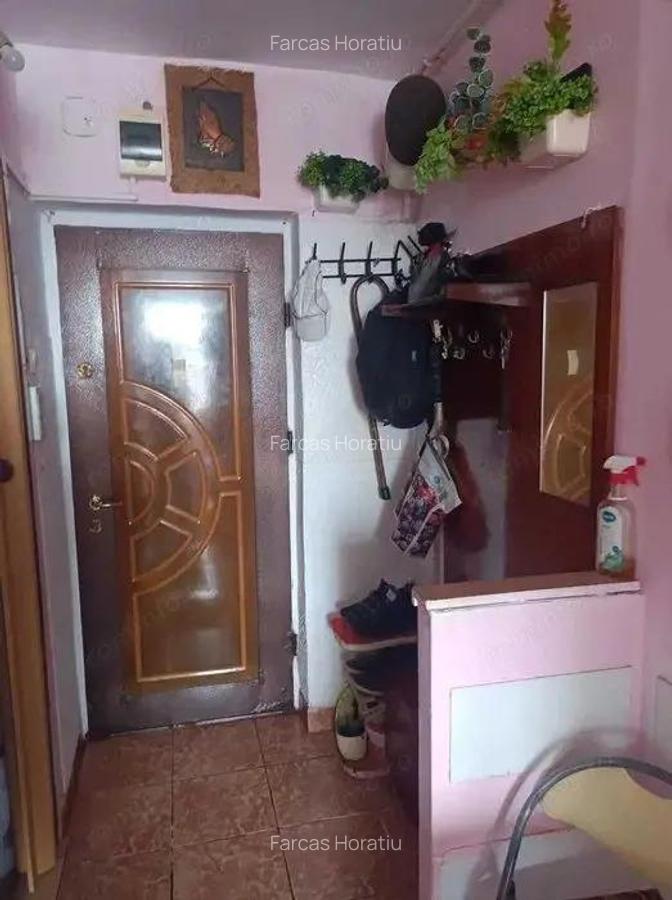 Mureseni - Vanzare apartament 1 camera - Str. Cugir - 5