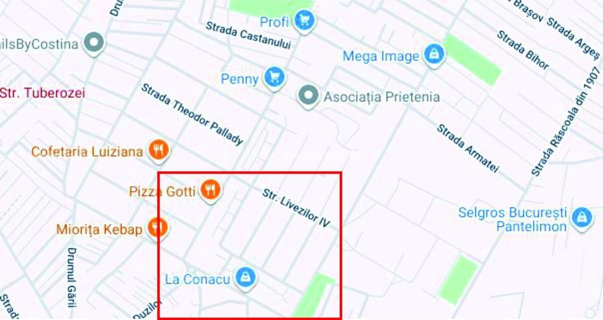 Vila Parter si Pod,  255 mp teren - Oras Pantelimon / Rascoalei - 2