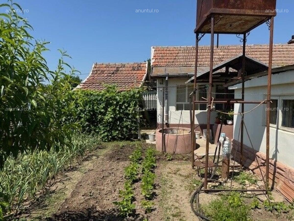 Corabia Olt Casa de vanzare 4 camere - 12