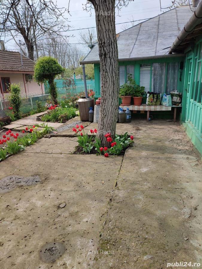 Vand casa GRIVITA-IALOMITA - 6