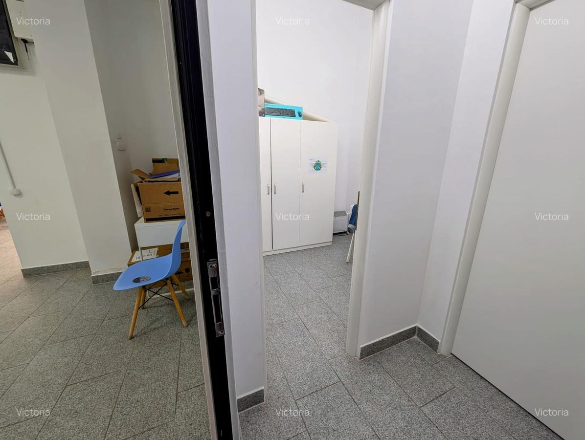 Podul Grant,C.Crangasi-stradal vad pietonal/auto,vitrina 10m,2 intrari,renovat - 17