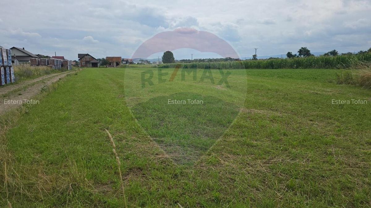 Teren 1,791mp Radauti / Strada Caramidariei - 2