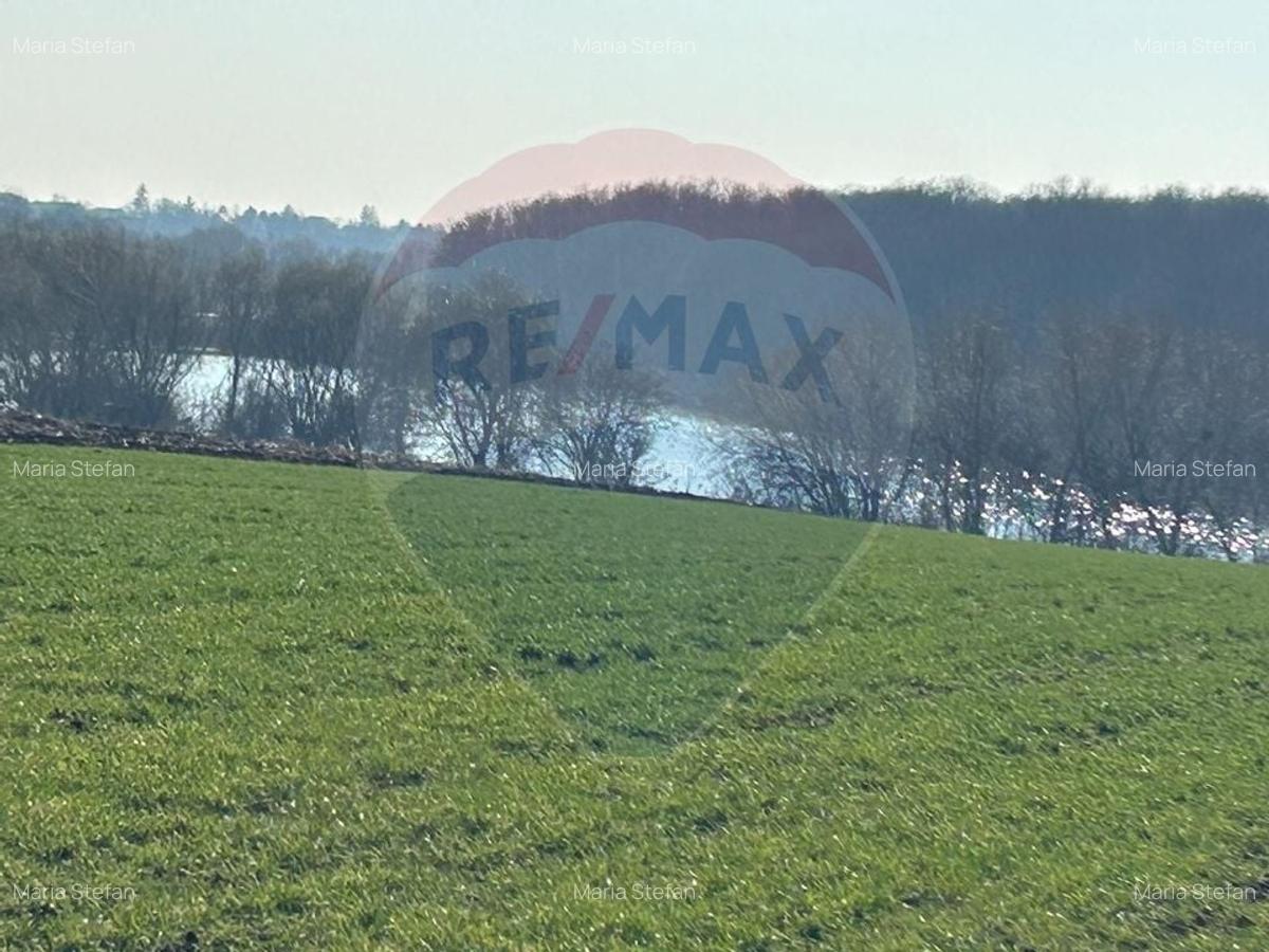 DE VANZARE intravilan LAC, Moara Vlasiei, Caldarusani TEREN ECHITATIE - 1