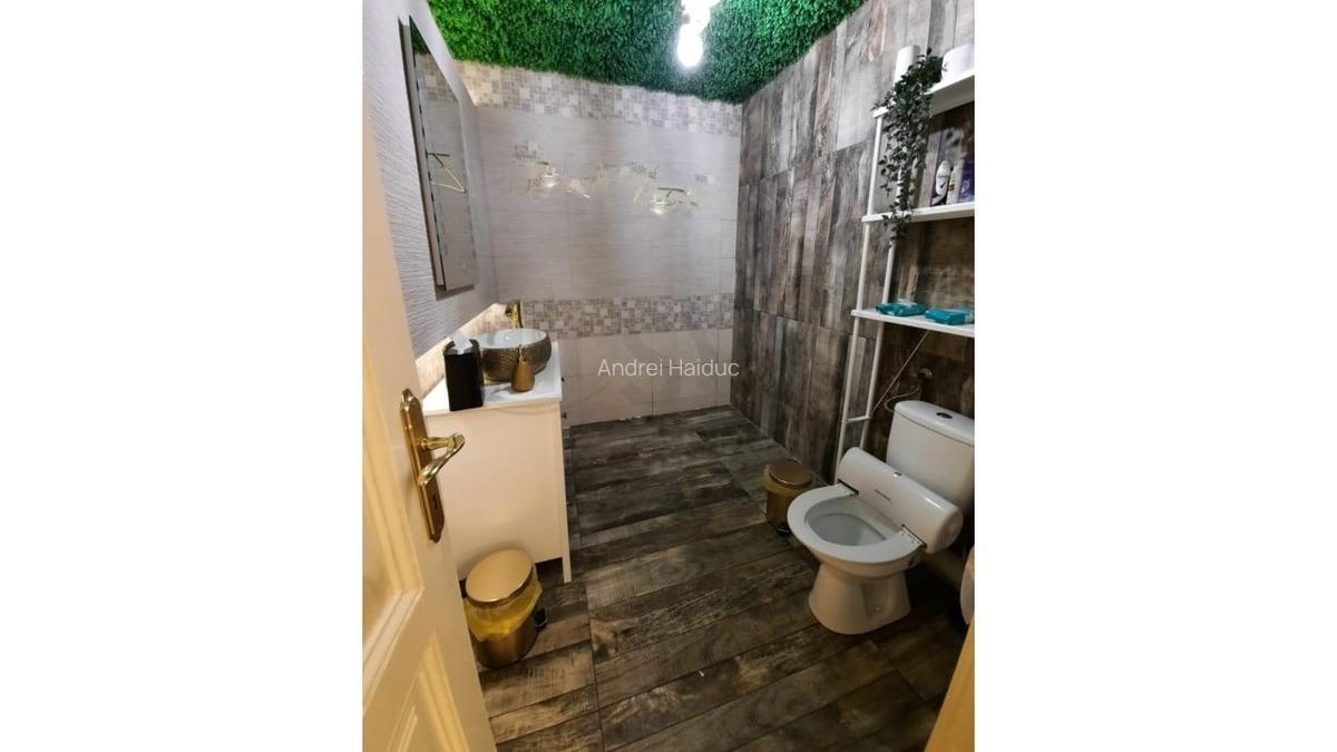 REV0017192 Piata Victoriei - VIla interbelica cu gradina - 4