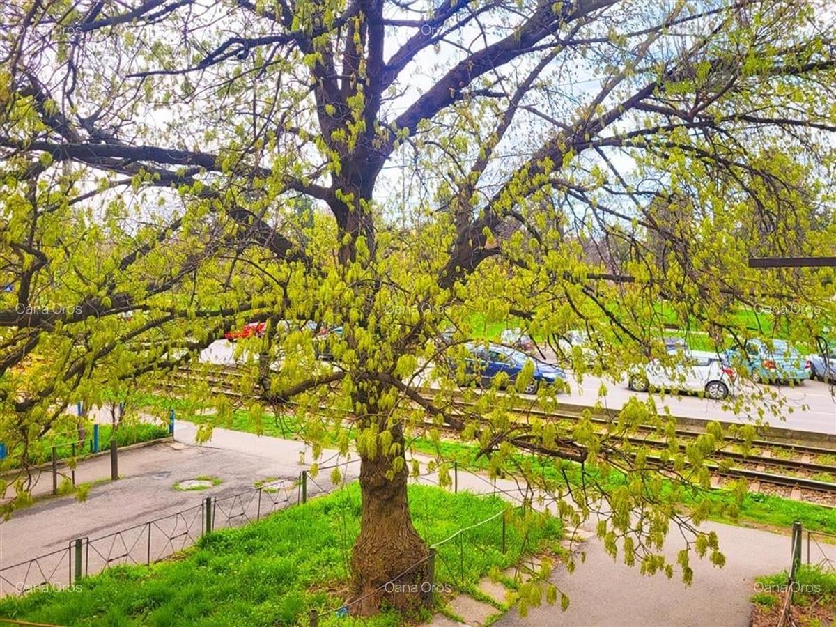Garsonieră, mobilată în Rogerius - 6