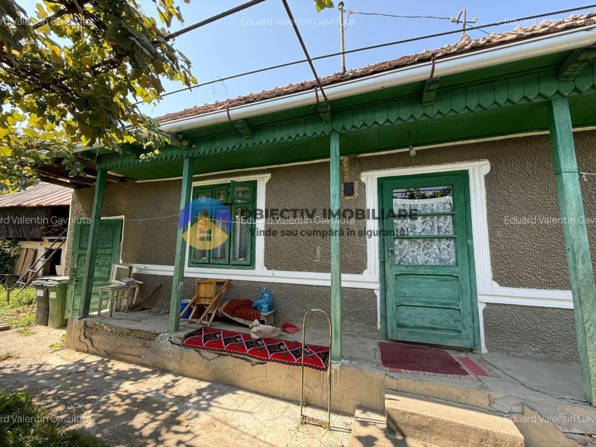 Casa batraneasca / Piatra Neamt / Pentru iubitorii de natura - 2