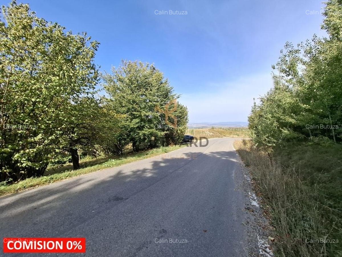Comision 0. Teren cu autorizatie de construire in Salicea - 1