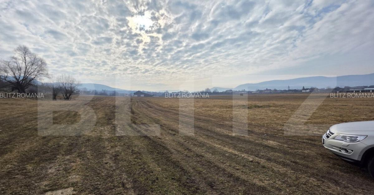 Teren extravilan de vanzare, 72 de arii, zona ?ieu Magheru - 3