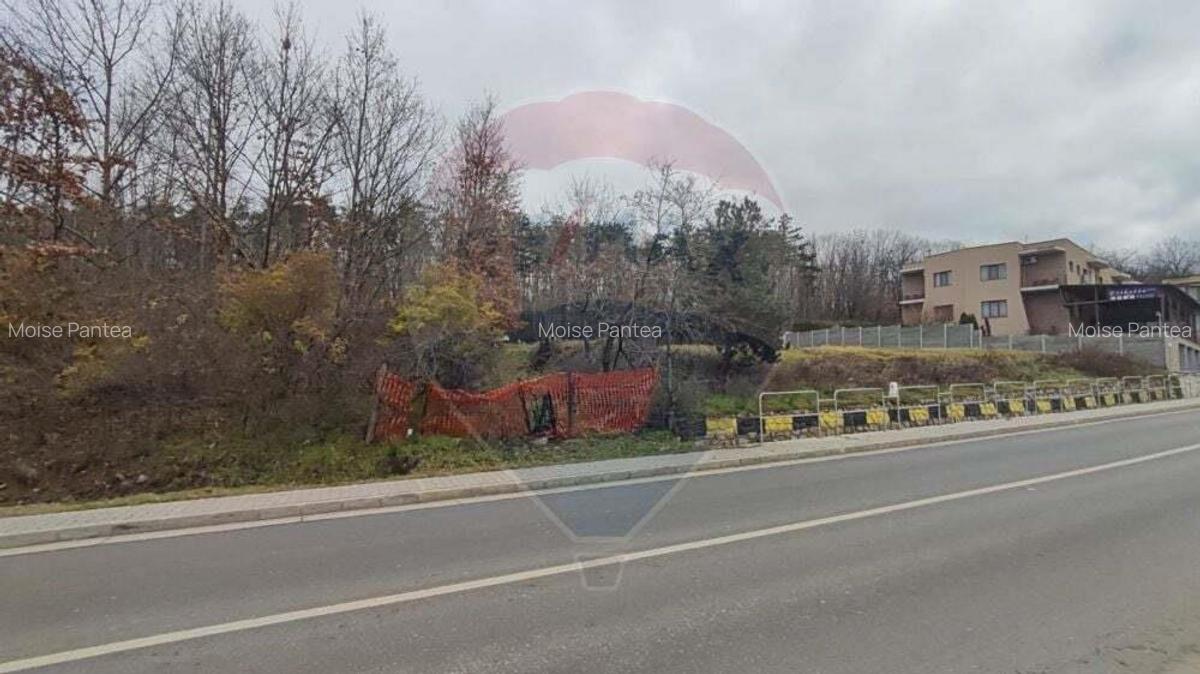 Oportunitate investi?ie B. Felix teren intravilan cu PUZ 1157 mp DN 76 - 6