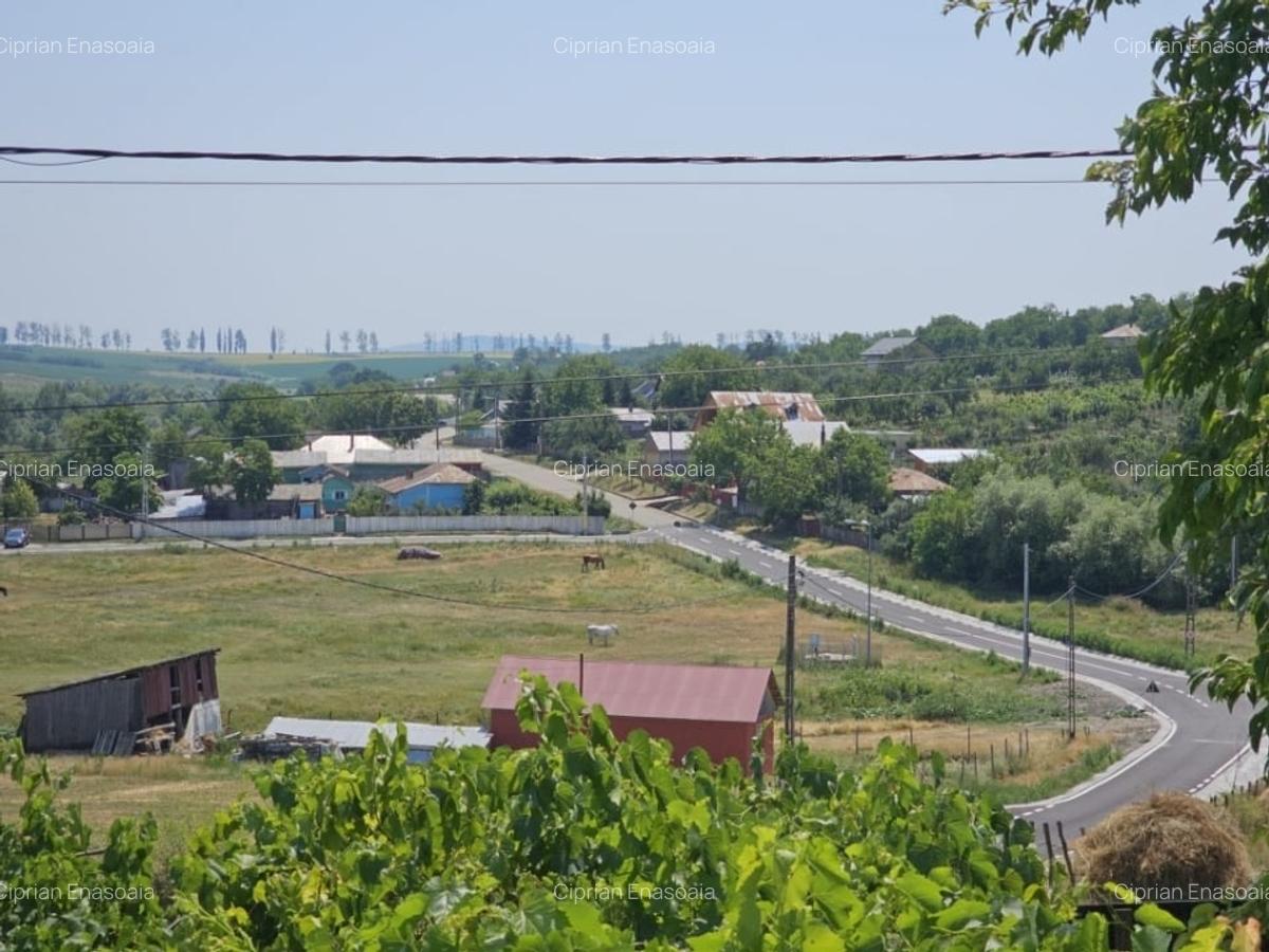 Casă individuală cu 3 camere în Hala Centrală - 1