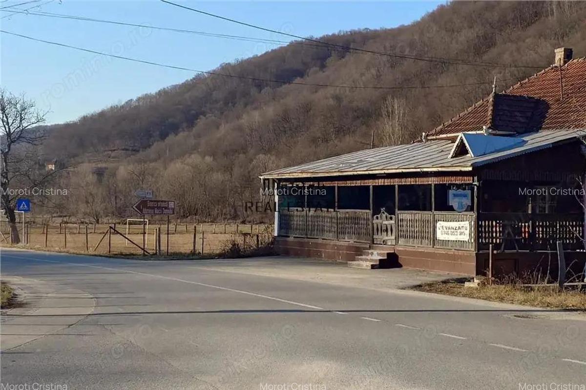 Proprietate cu potential in Apuseni - fosta pizzerie, ideala pentru afacere sau locuinta - 11