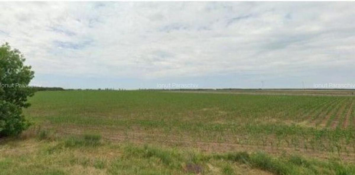 Teren extravilan Pogoanele, ID: R2586845 - 1