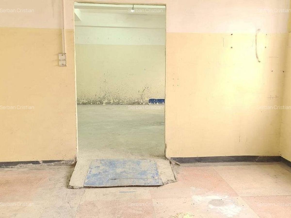 Drumul Intre Tarlale spatiu productie 400-1500 mp - 8