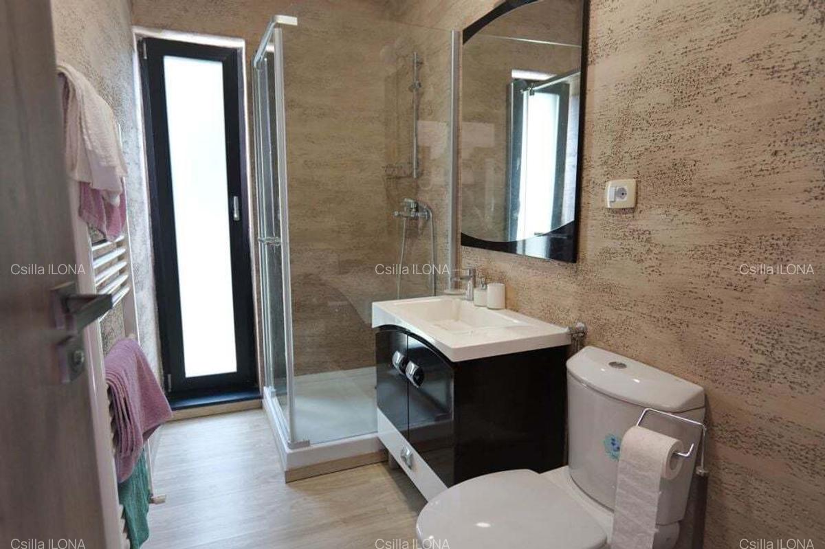 Casa/ Vila de inchiriat deosebit de atractiva - 24 Casa/ Vila de inchiriat deosebit de atractiva - 24