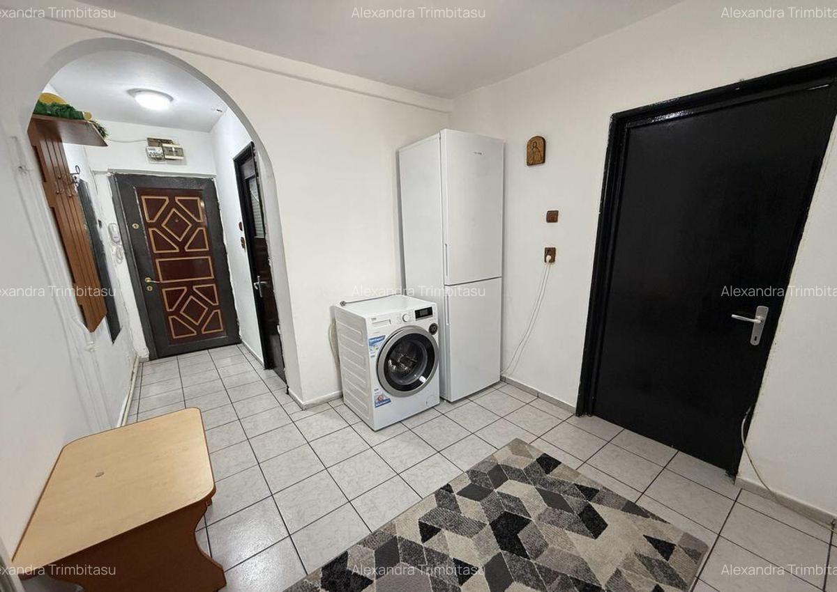 Apartament 2 Camere Teiul Doamnei Lacul Tei - 11